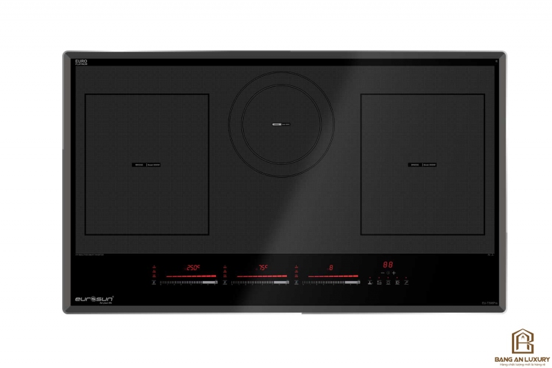 Bếp từ Eurosun EU-T396Pro