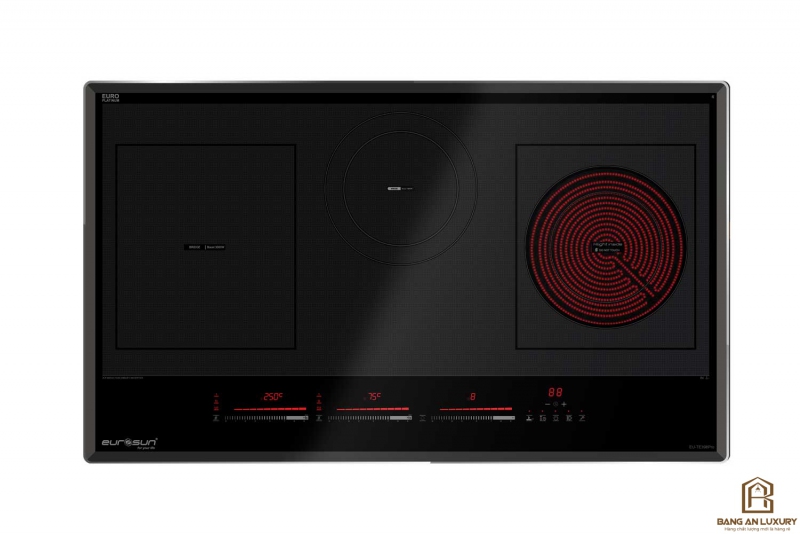 Bếp từ Eurosun EU-TE398Pro