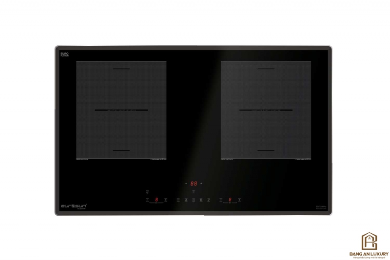 Bếp từ Eurosun EU-T256Pro