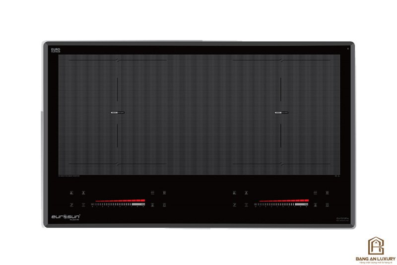 Bếp từ Eurosun EU-T210Pro