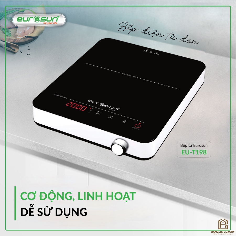Bếp Từ Đơn Eurosun EU -T197