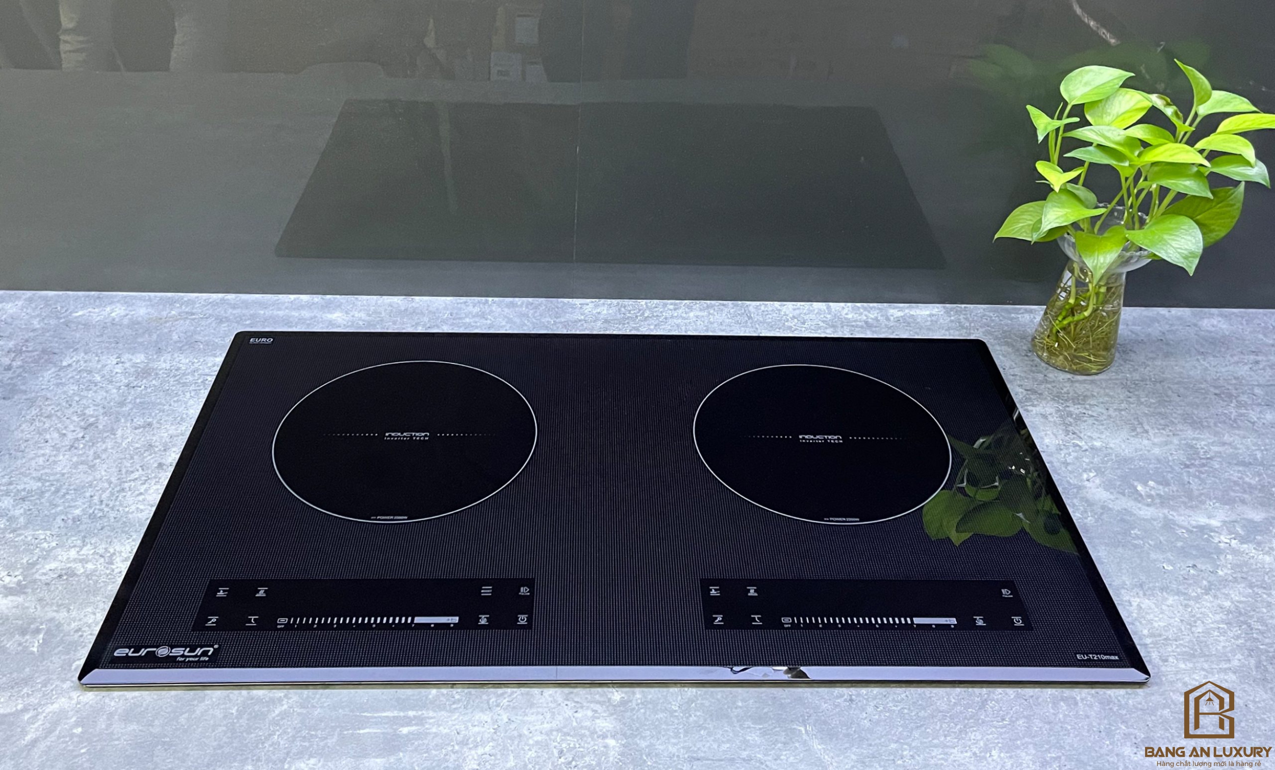 Bếp từ Eurosun EU-T210Max