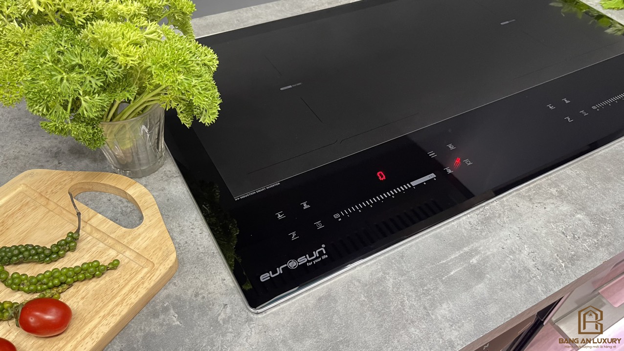 Bếp từ Eurosun EU-T210Pro