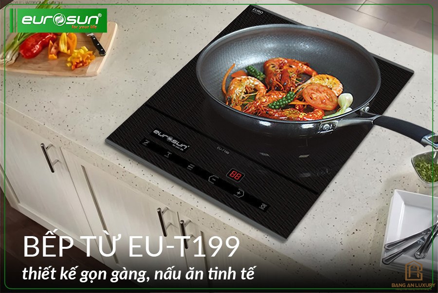 Bếp Từ Đơn Eurosun EU-T199