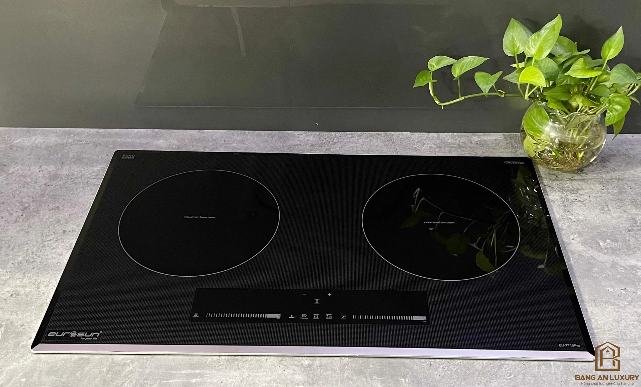 Bếp từ Eurosun EU-T710Pro