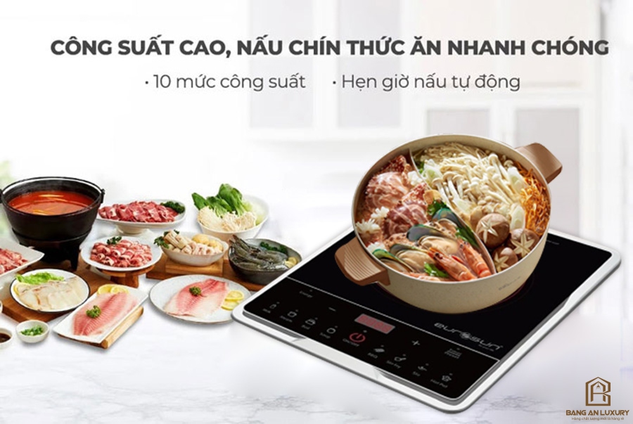 Bếp từ đơn Eurosun EU -T185S