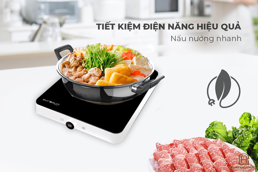 Bếp Từ Đơn Eurosun EU -T197