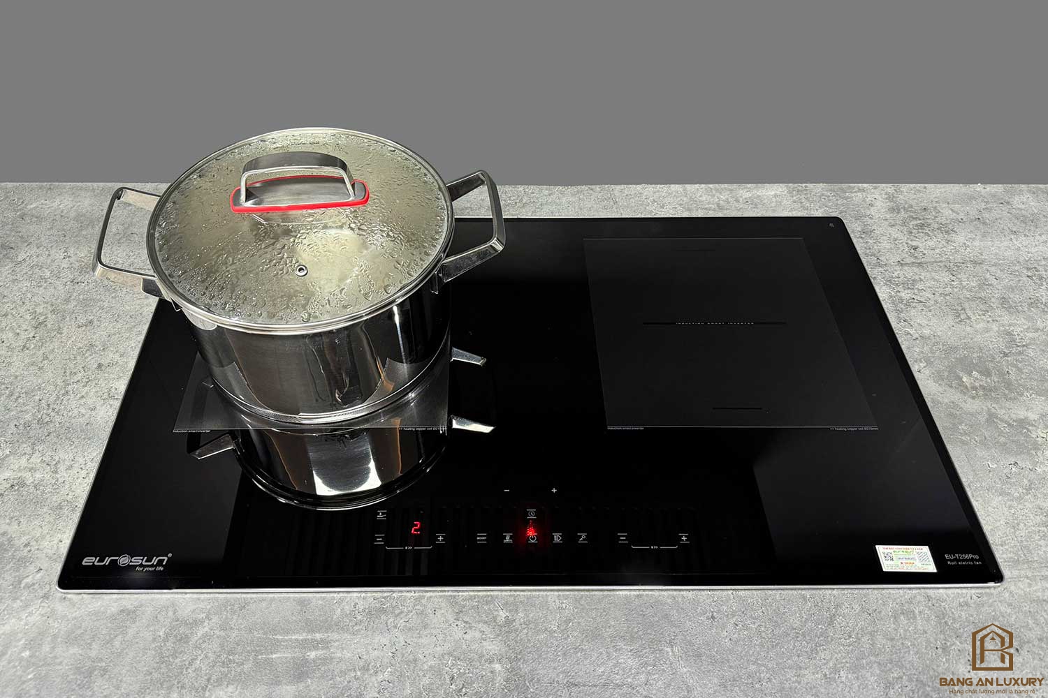 Bếp từ Eurosun EU-T256Pro