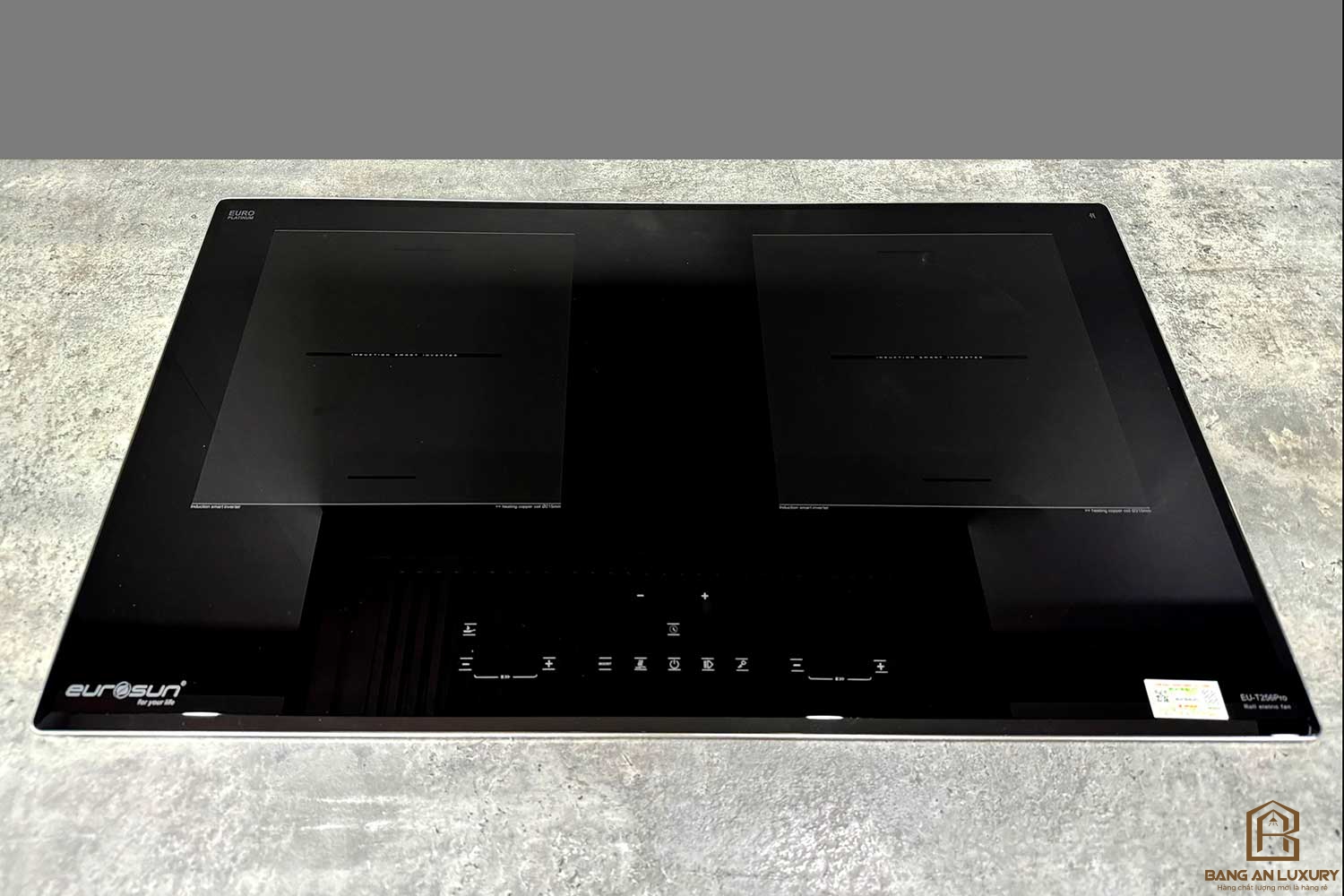 Bếp từ Eurosun EU-T256Pro