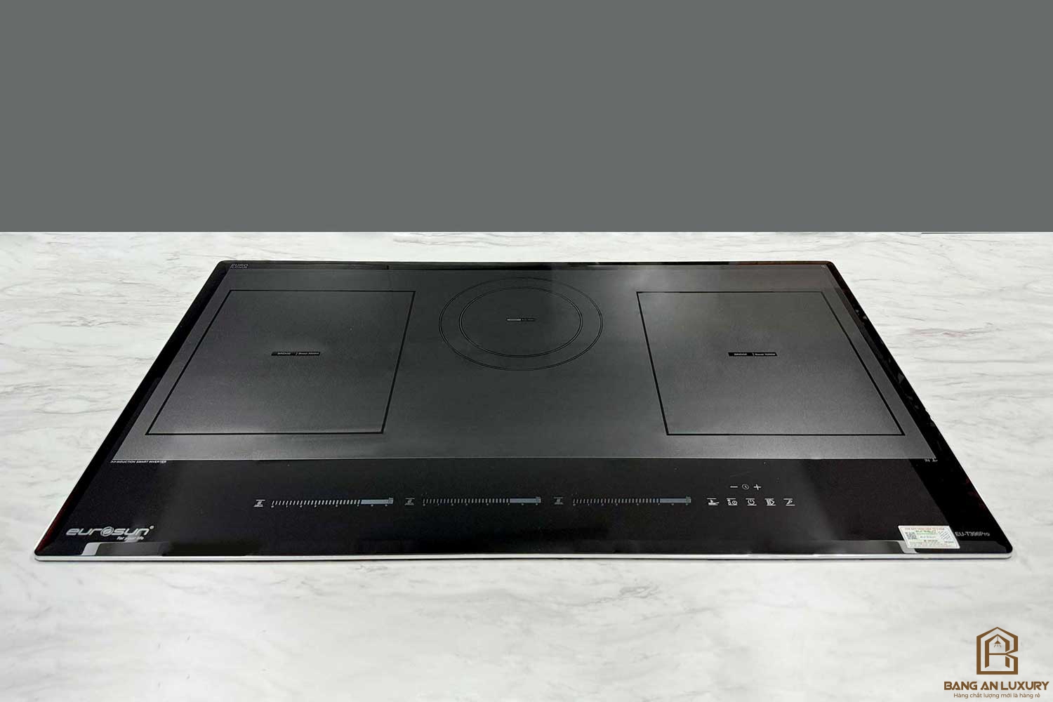 Bếp từ Eurosun EU-T396Pro