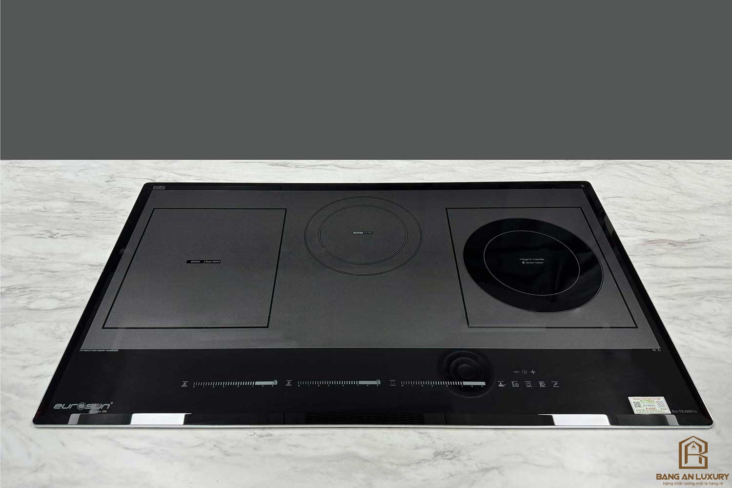 Bếp từ Eurosun EU-TE398Pro