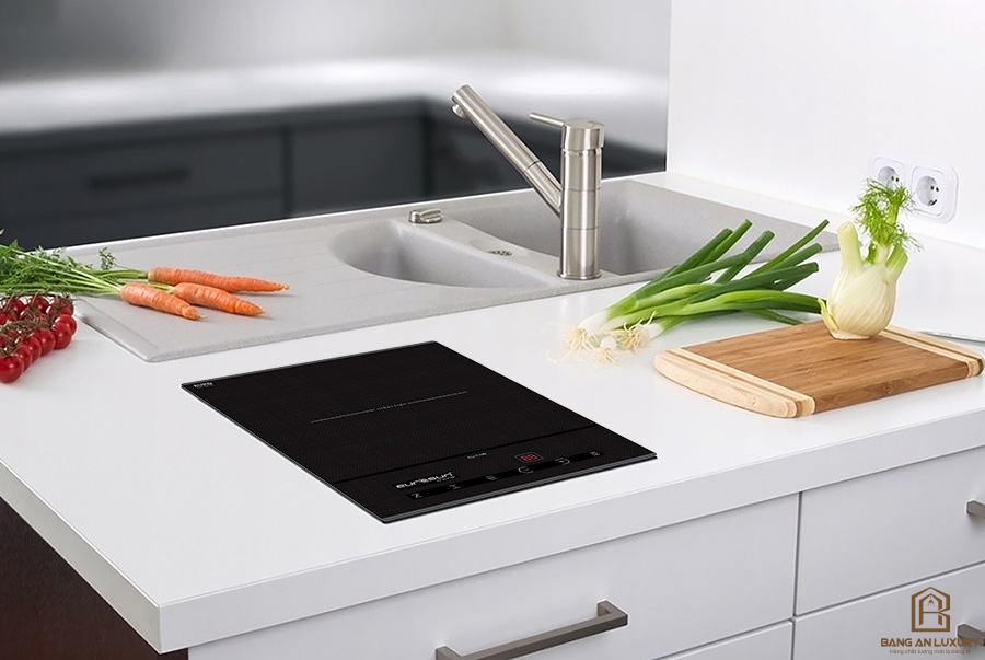 Bếp Từ Đơn Eurosun EU-T199