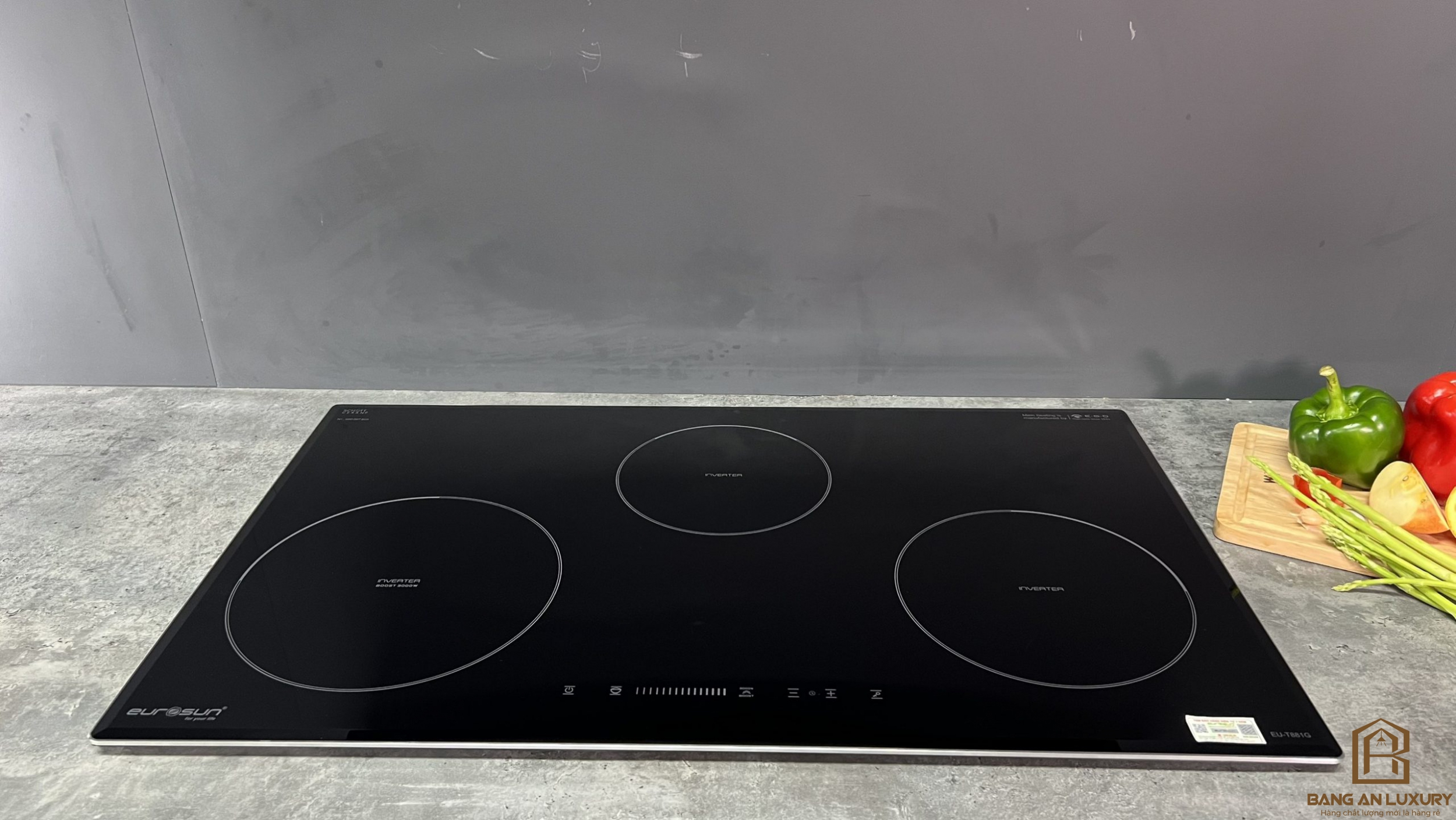 Bếp từ Eurosun EU-T881G
