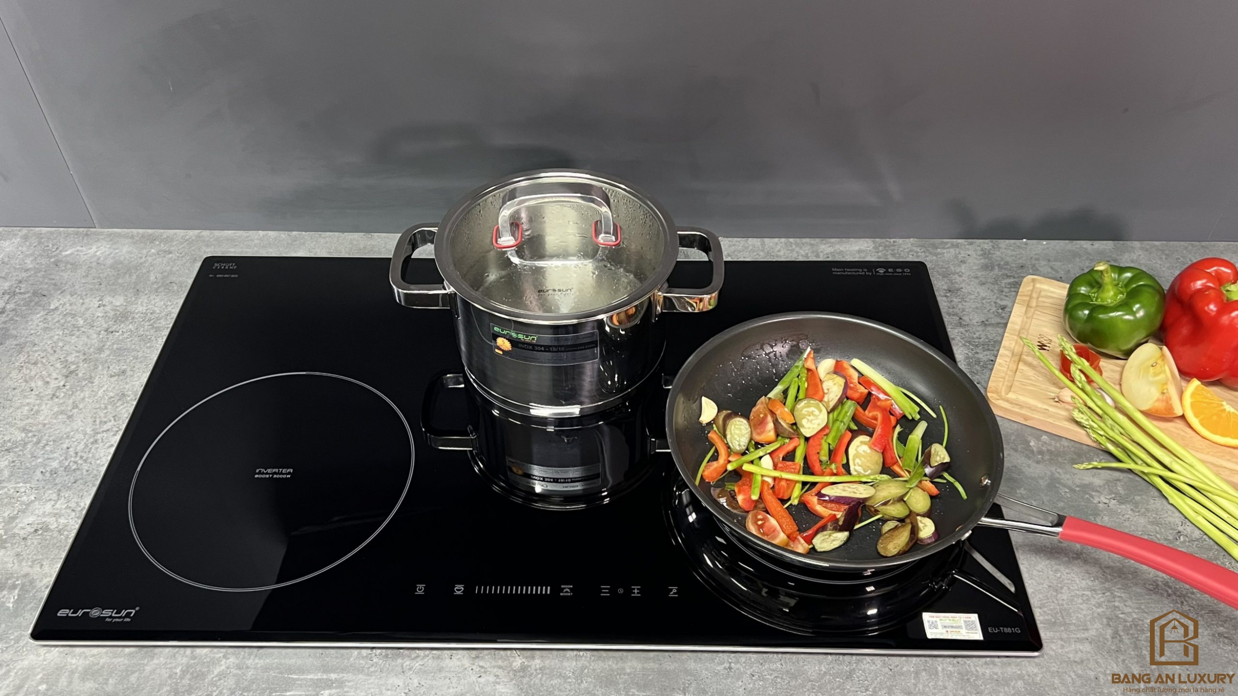 Bếp từ Eurosun EU-T881G