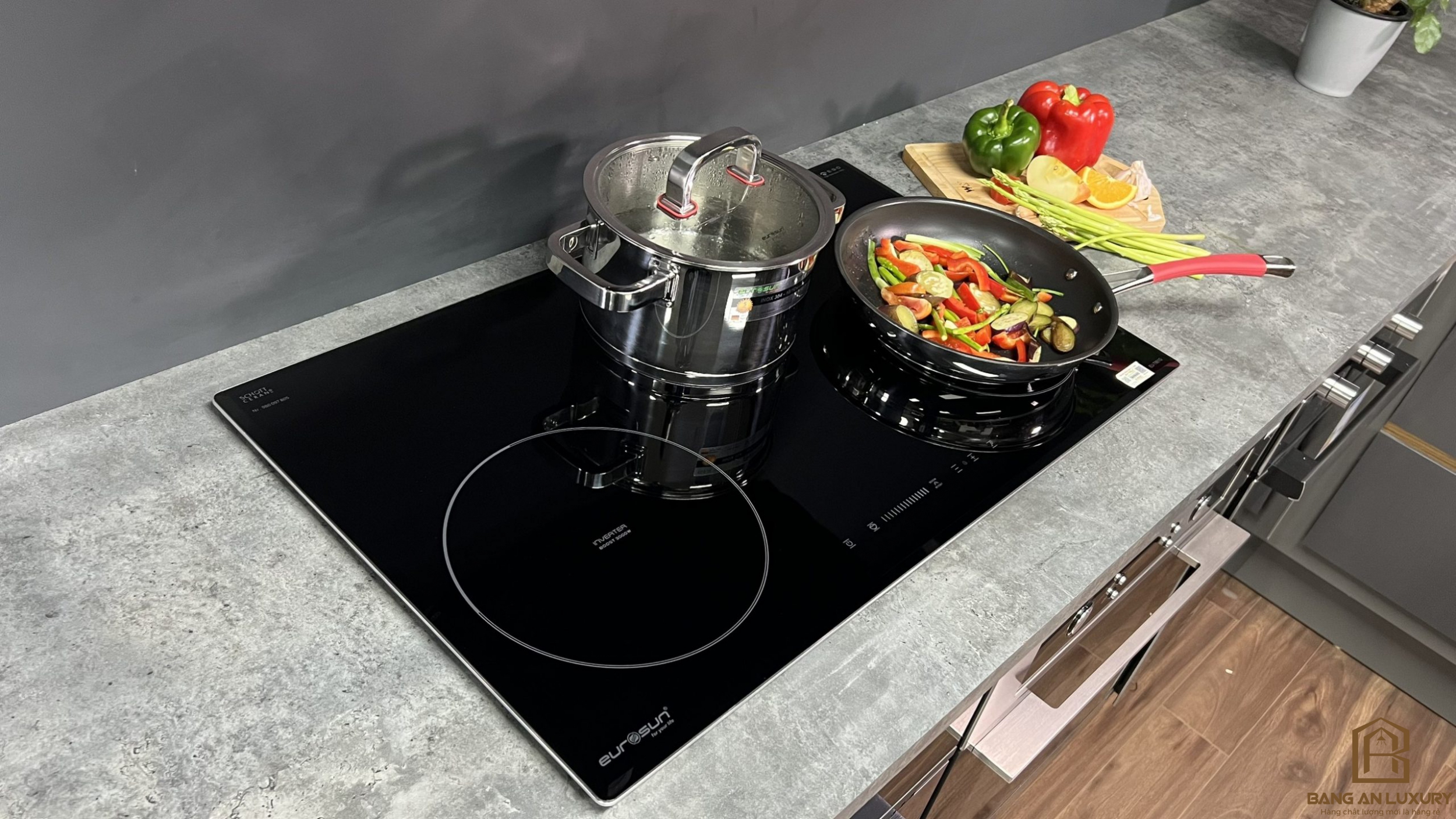 Bếp từ Eurosun EU-T881G